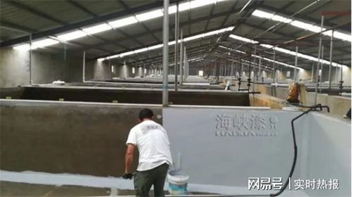 養殖漆 營造優質水產品生產養殖環境，贏得廣泛認可