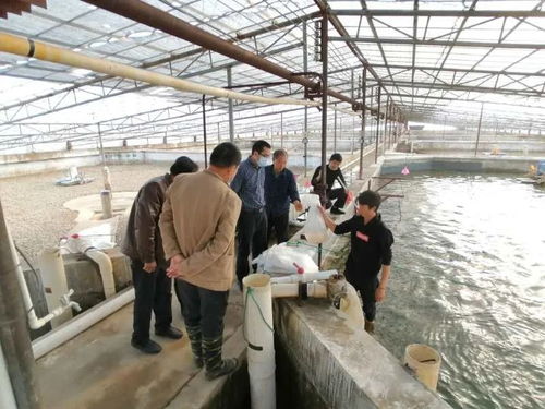 九江水產(chǎn) 產(chǎn)得出、運(yùn)得走、不積壓、不賣難，力促產(chǎn)業(yè)平穩(wěn)有序發(fā)展