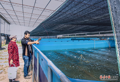 工廠化養魚 現代水產品養殖的高效革命